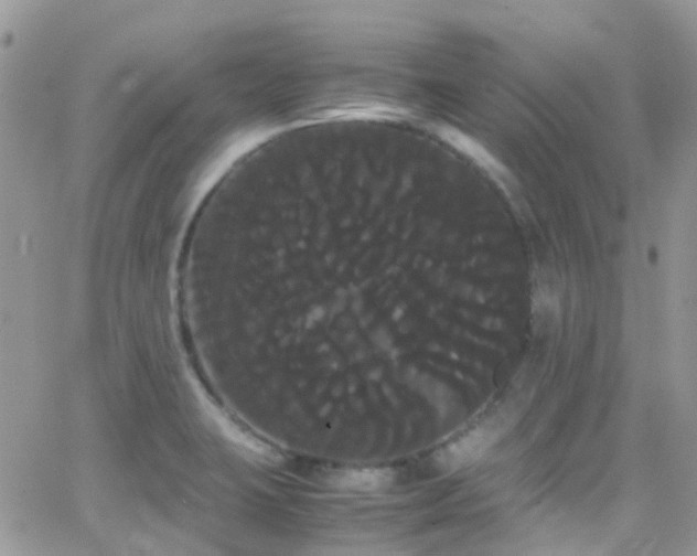 X0000066501423200603171137