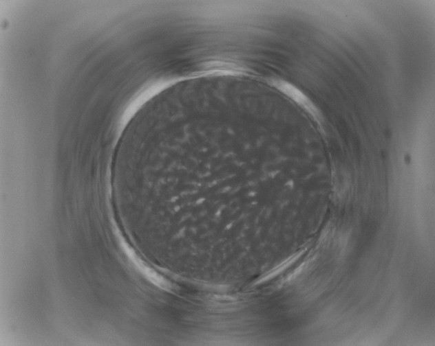 X0000066501431200603171137
