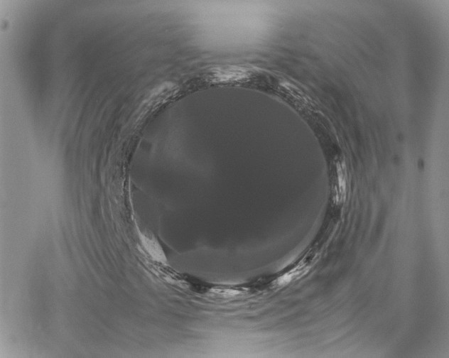 X0000066501441200603171136