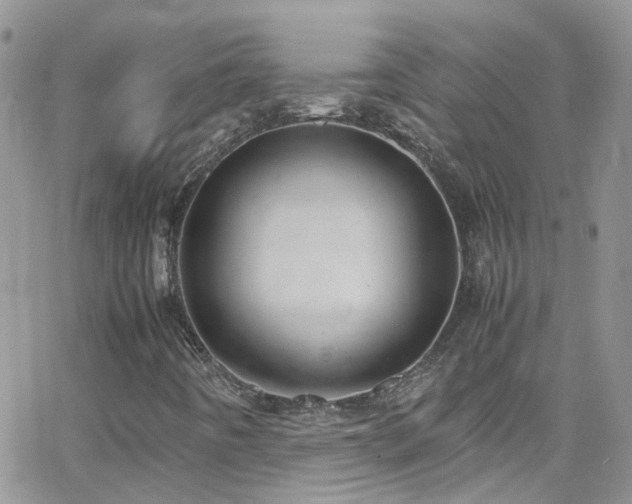 X0000066501442200603171136
