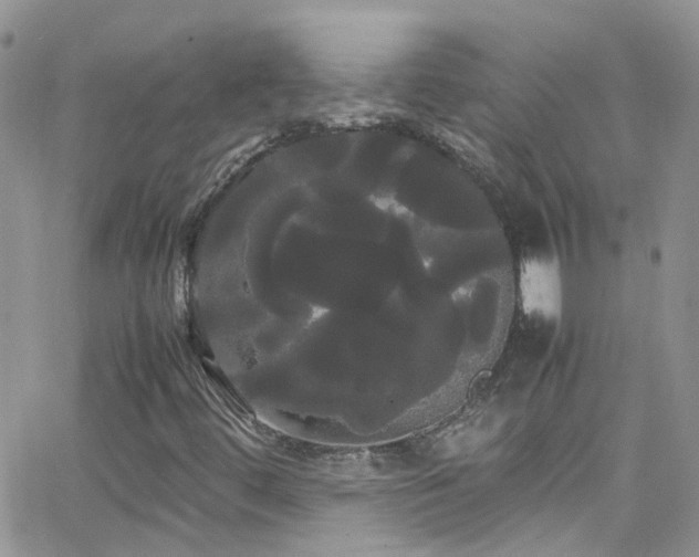 X0000066501444200603171136
