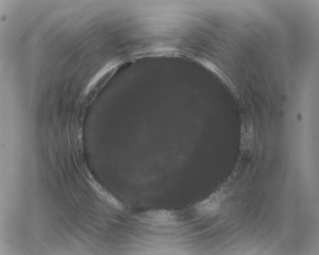 X0000066501450200603171136