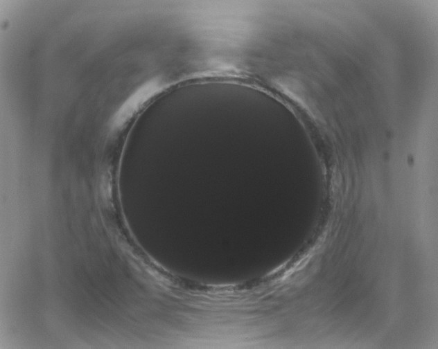 X0000066501455200603171136