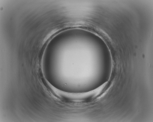 X0000066501457200603171136