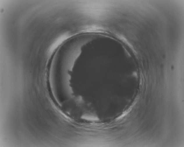 X0000066501463200603171136