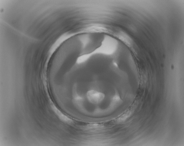 X0000066501478200603171136