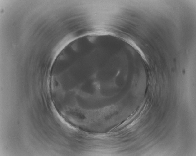 X0000066501484200603171136