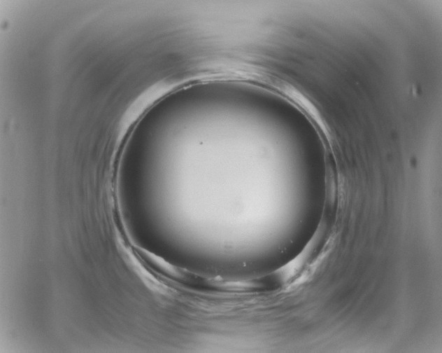 X0000066501485200603171135