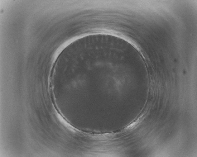 X0000066501535200603171135