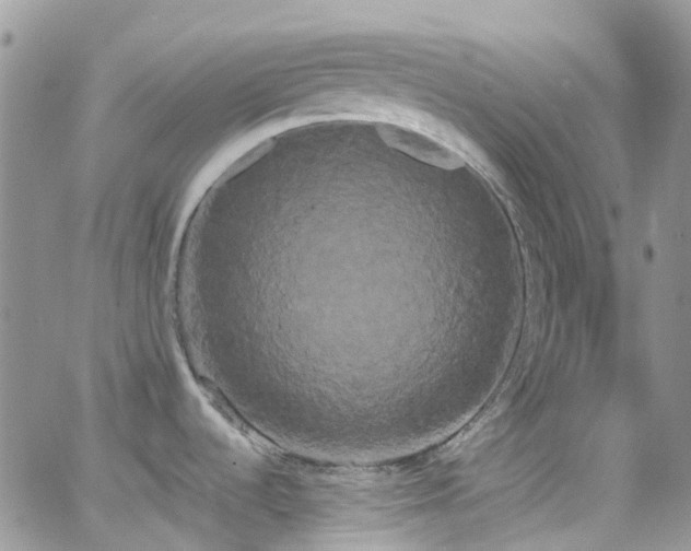 X0000066501536200603171135