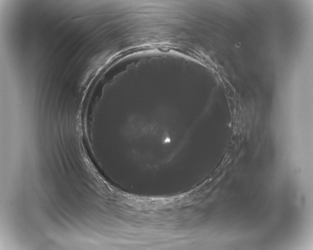 X0000066500002200603201335
