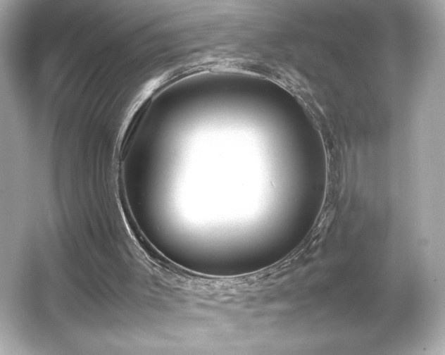 X0000066500003200603201335