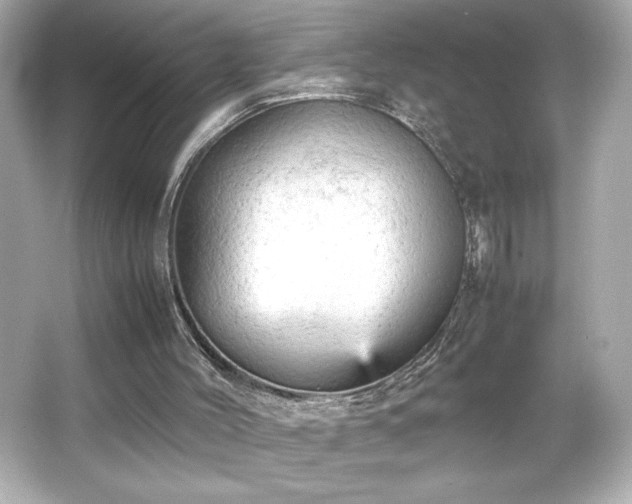 X0000066500004200603201335