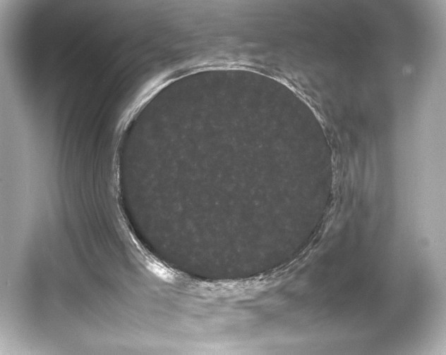 X0000066500005200603201335