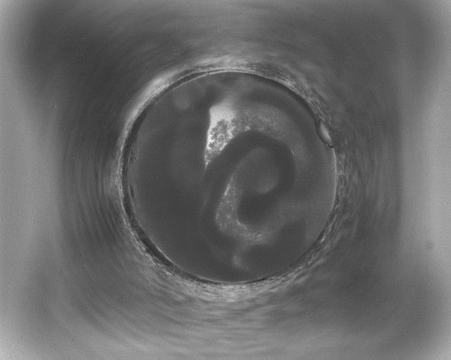 X0000066500006200603201335