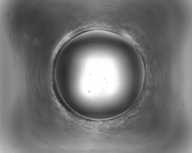 X0000066500007200603201335