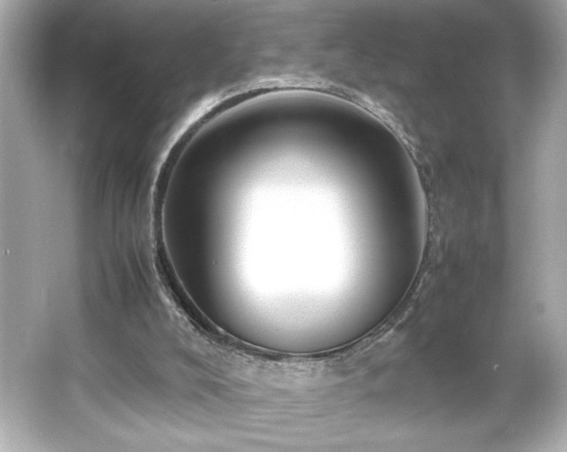 X0000066500008200603201335