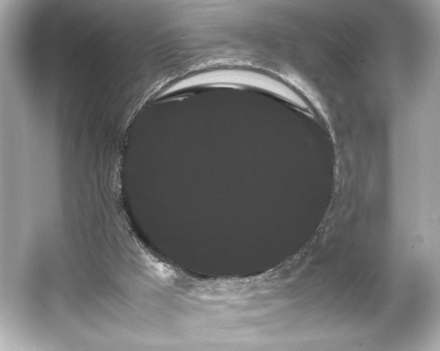 X0000066500009200603201335