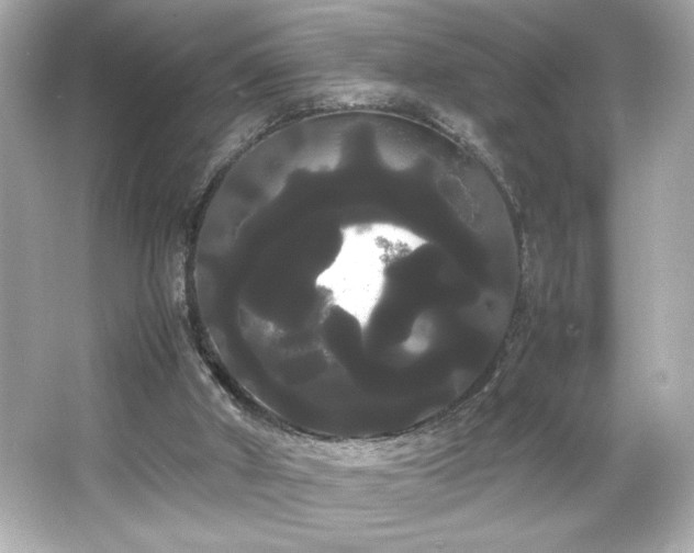 X0000066500010200603201335