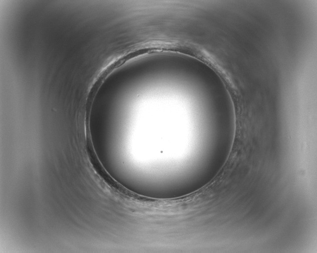 X0000066500011200603201335