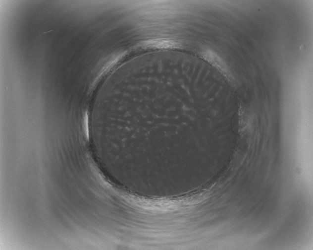 X0000066500014200603201335