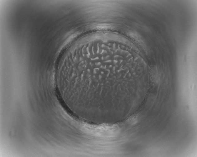 X0000066500016200603201335