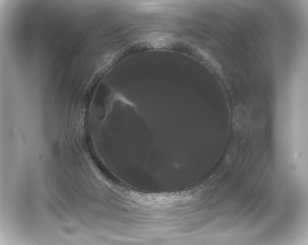 X0000066500018200603201335