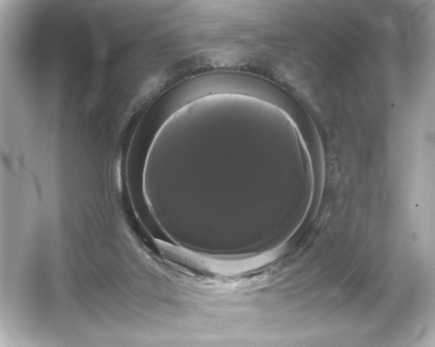 X0000066500019200603201335