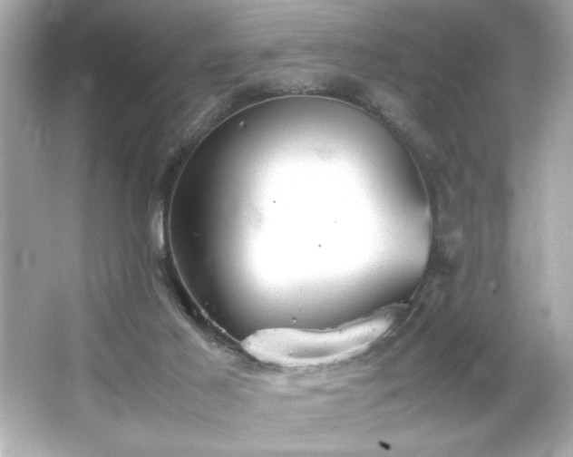 X0000066500021200603201335
