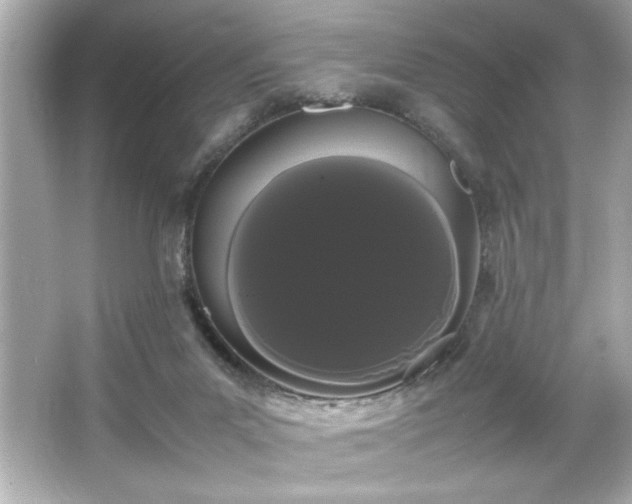 X0000066500023200603201335