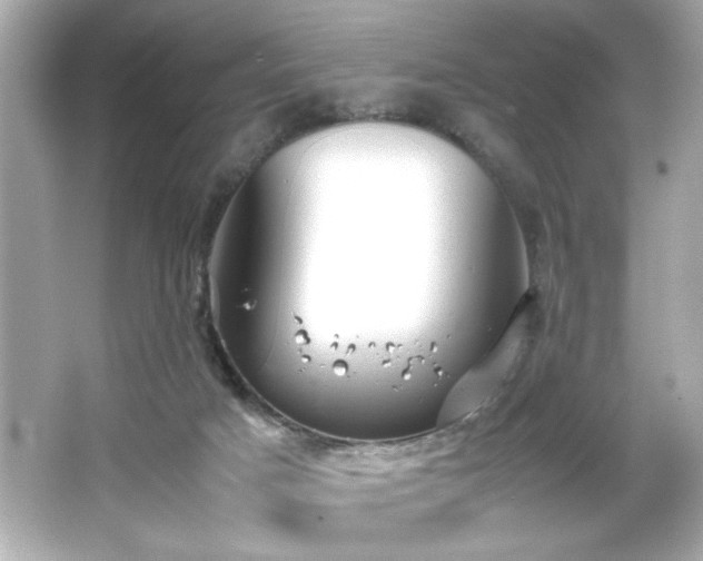 X0000066500025200603201335