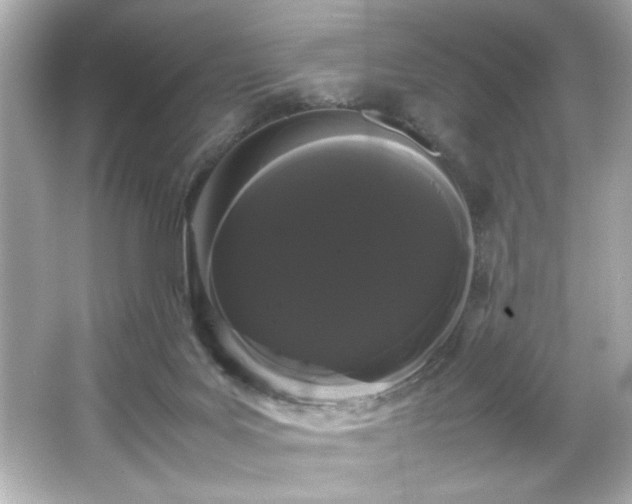 X0000066500027200603201335