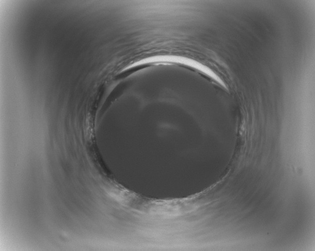 X0000066500029200603201335