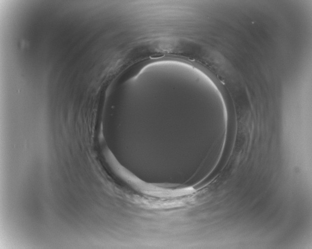 X0000066500031200603201335