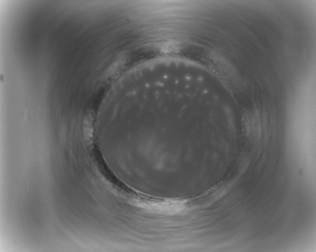 X0000066500032200603201335
