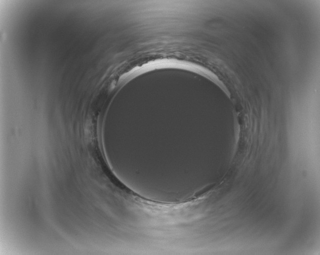 X0000066500035200603201335