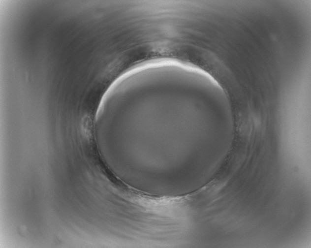 X0000066500036200603201335