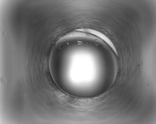 X0000066500037200603201335
