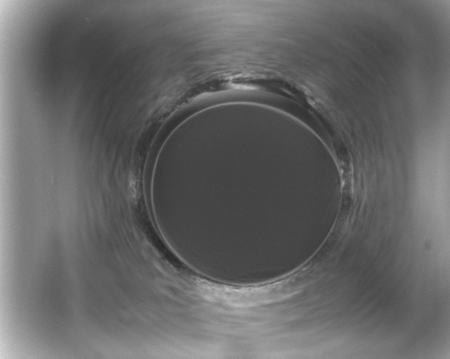 X0000066500039200603201335