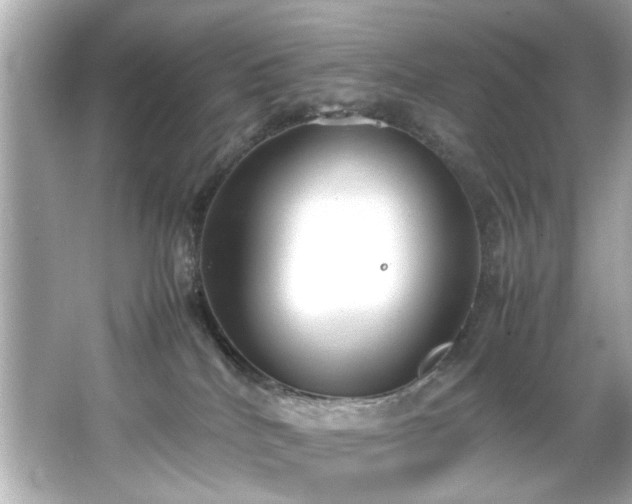 X0000066500040200603201335