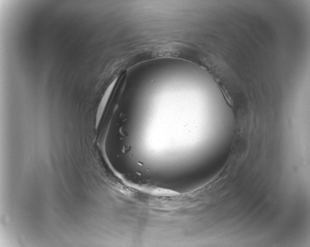 X0000066500041200603201334