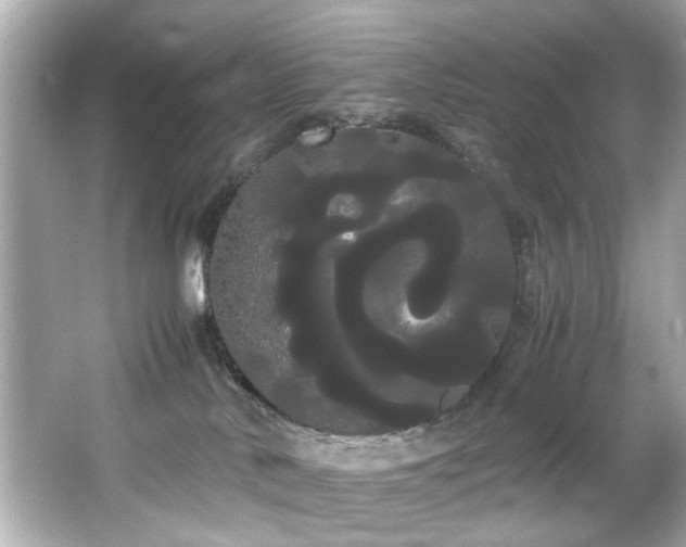 X0000066500042200603201334