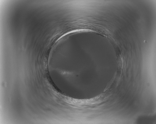 X0000066500043200603201334