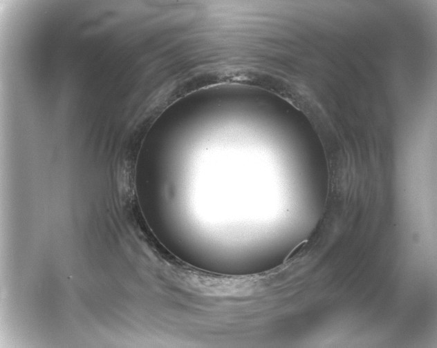 X0000066500044200603201334