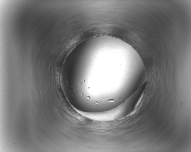 X0000066500045200603201334