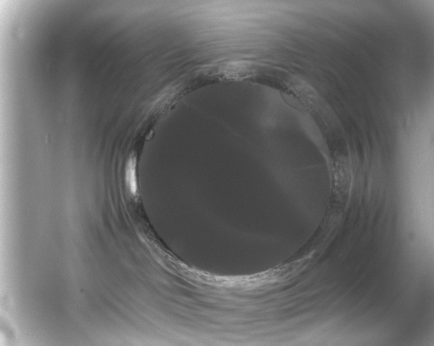 X0000066500046200603201334