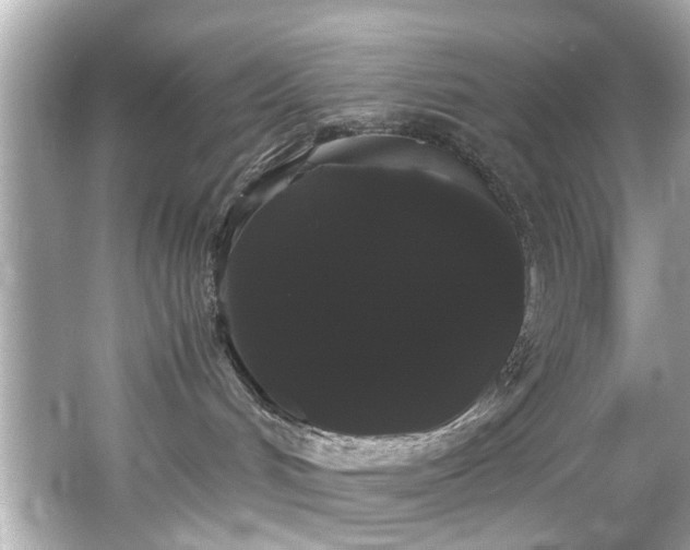 X0000066500048200603201334