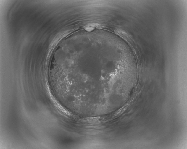 X0000066500049200603201334