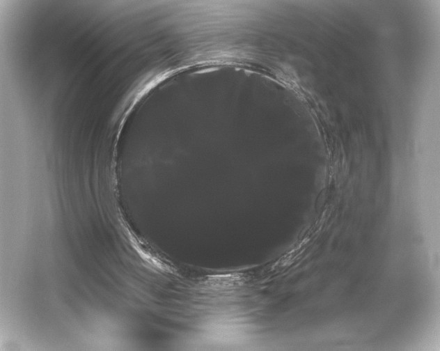 X0000066500050200603201334