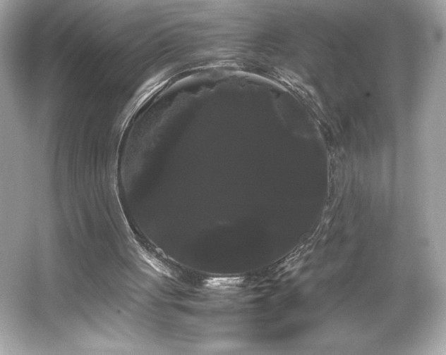 X0000066500051200603201334